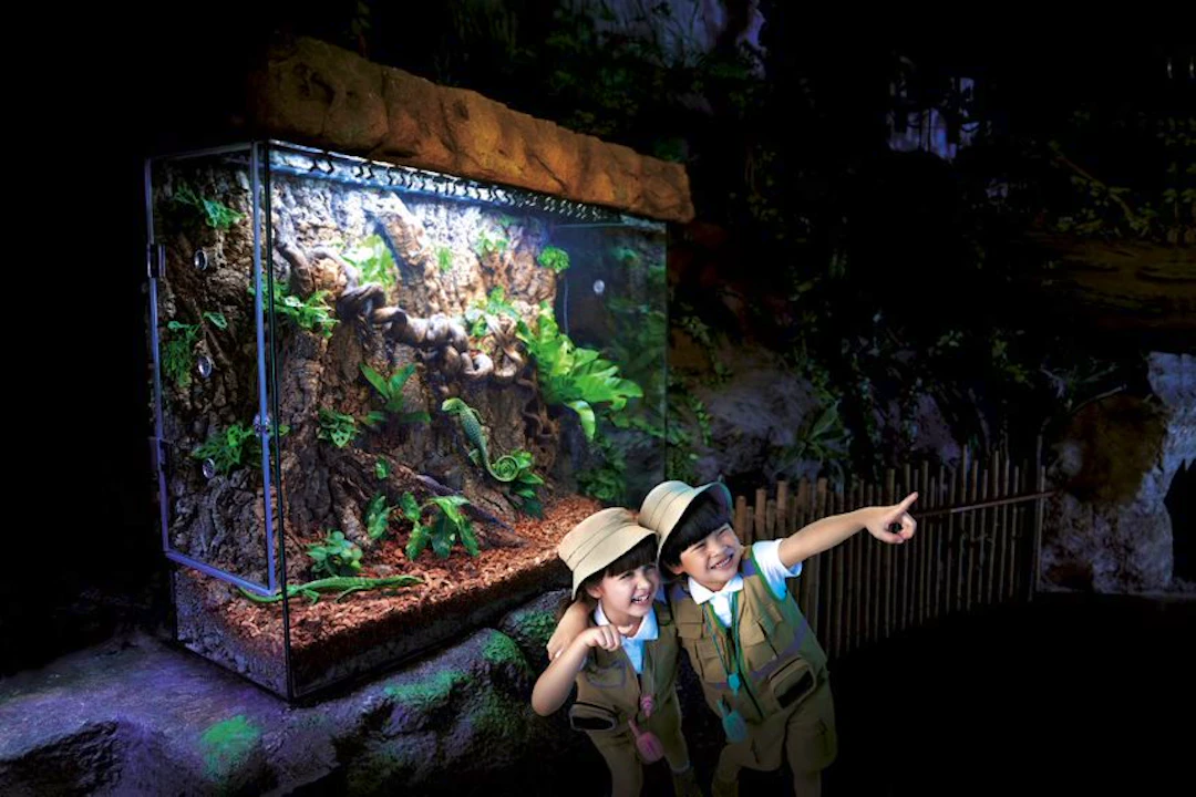 SeaLife Bangkok Admission Tickets Ticket